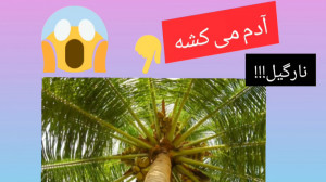 نمونه اتفاقات عجیب دنیا