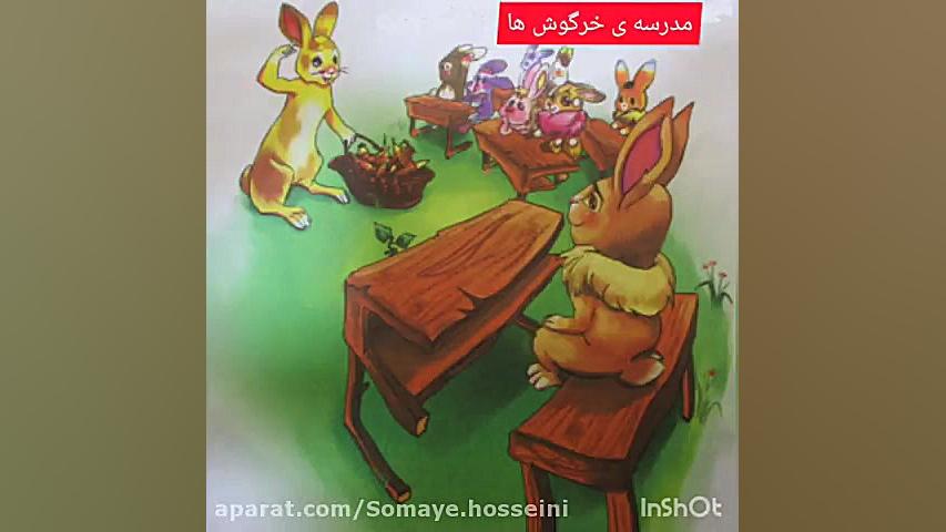 مدرسه خرگوش ها