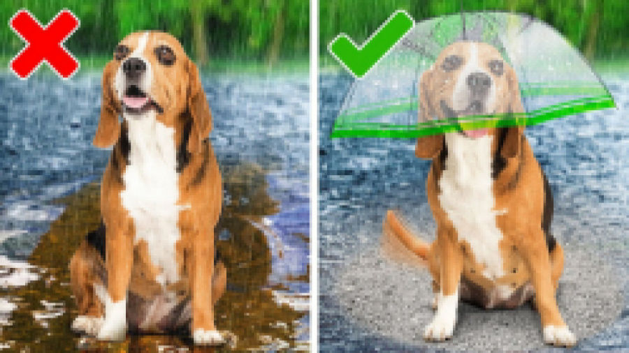 تفریح و سرگرمی :: بهترین ترفند...