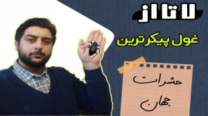 ۷ تا از غول پیکرترین حشرات جها...