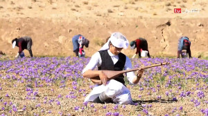 برنامه زعفرانی شو مهدی حاتمی ز...