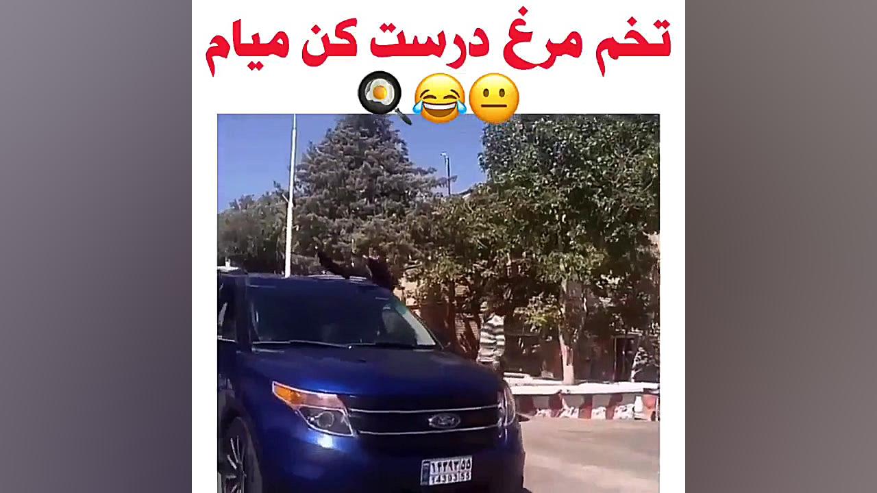امیر مقاره و رهام هادیان