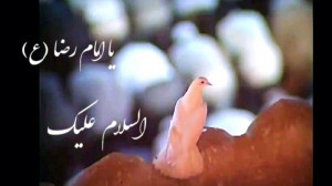 فیلم زیبای حرم امام رضا ع (کار...