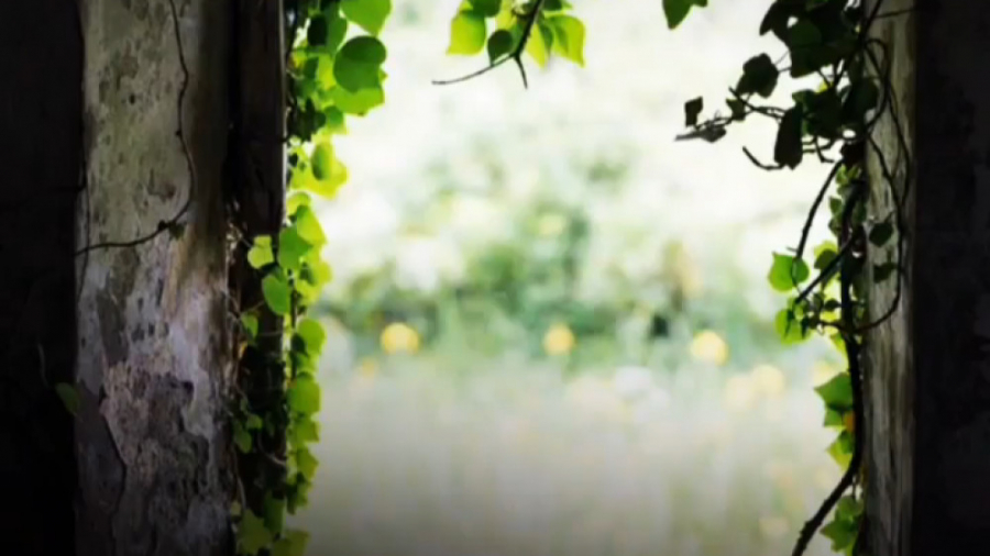 دوستی با خدا (استاد شیخ محمد ا...