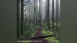 مهربان منی حجت اشرف زاده