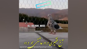 اهنگ علی رزاقی