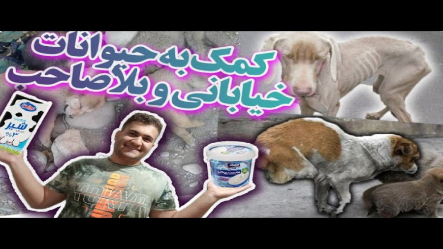 ولاگ کمک به حیوانات بلاصاحب و...