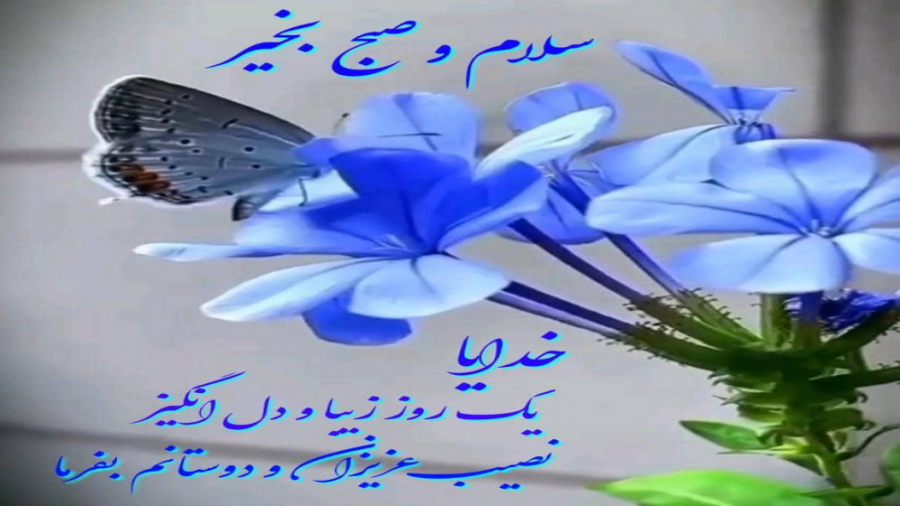 سوتی های کلاس آنلاین فرشاد سای...