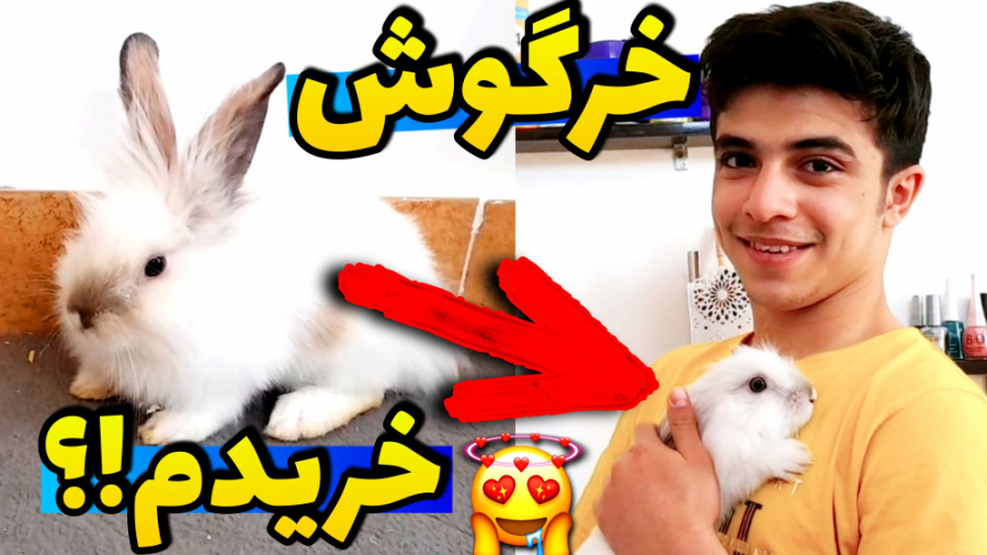 خرگوش خریدم!؟ ولاگ بازی با یه...