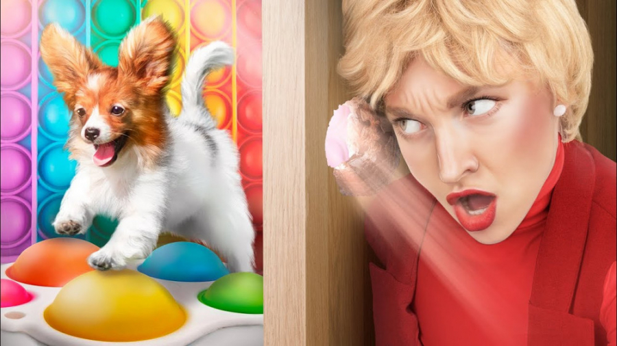 ما یک اتاق مخفی برای یک حیوان...