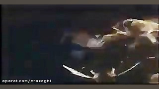 جفت گیری ملکه زنبور عسل