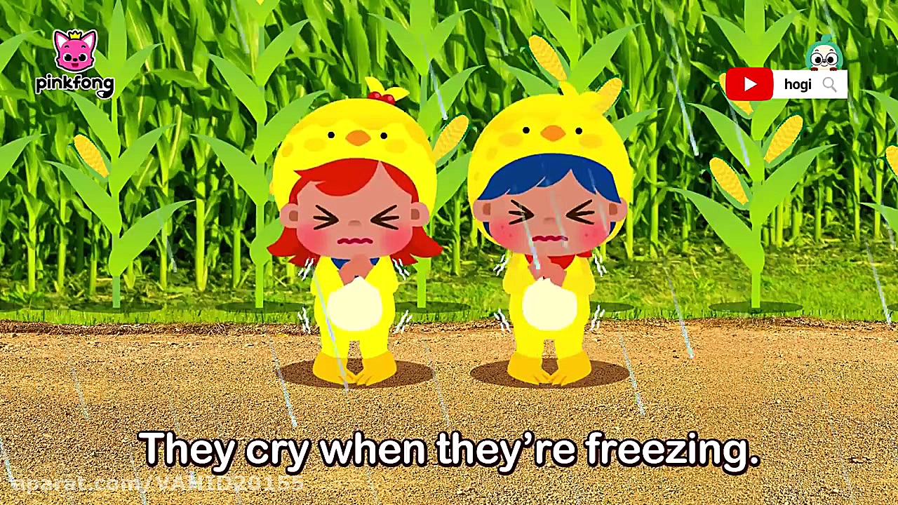 ترانه و آهنگ شاد کودکانه  جوجه...