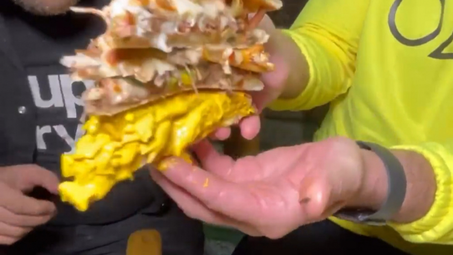 چالش پیتزا پنج طبقه