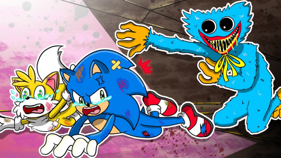 چالش سونیک در برابر هاگی واگی