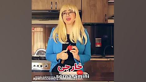 سرنا امینی ( خارجی و ایرانی)