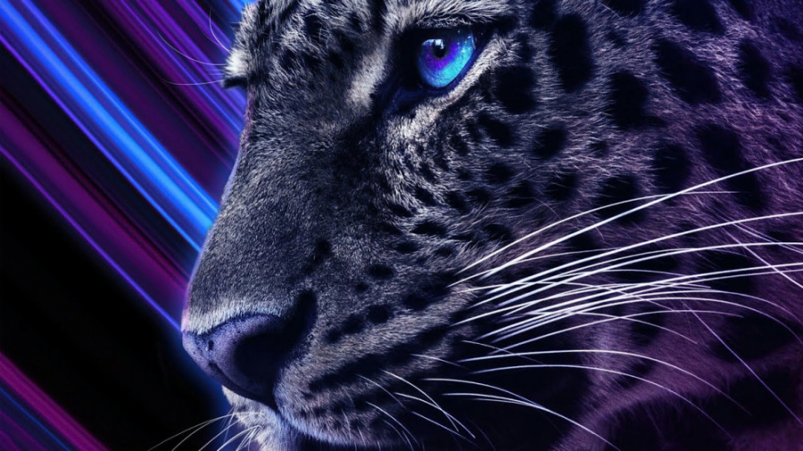 آهنگ بیس دار خفن :: آهنگ بیس د...