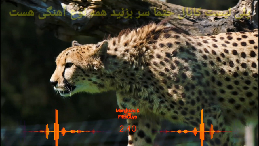 موزیک ویدیو خارجی بیس دار  موز...