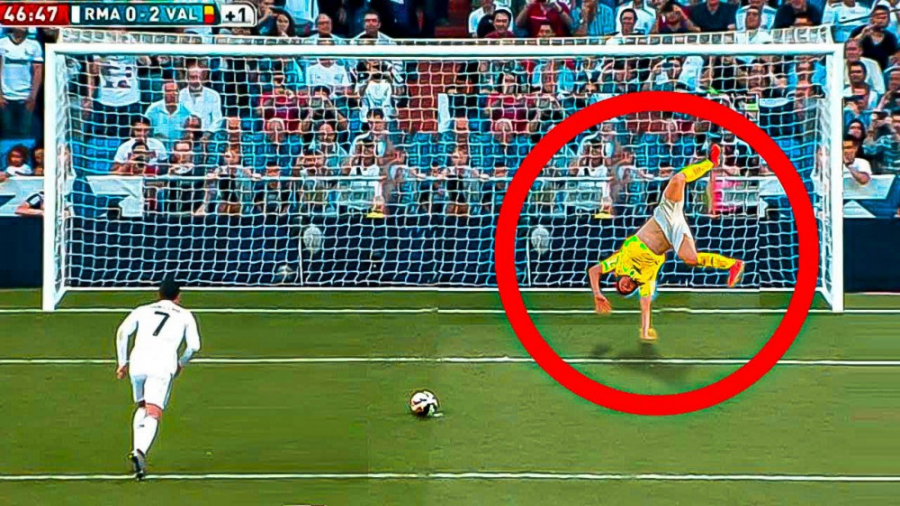 اگر دوربین نبود آیا این گل‌ها...