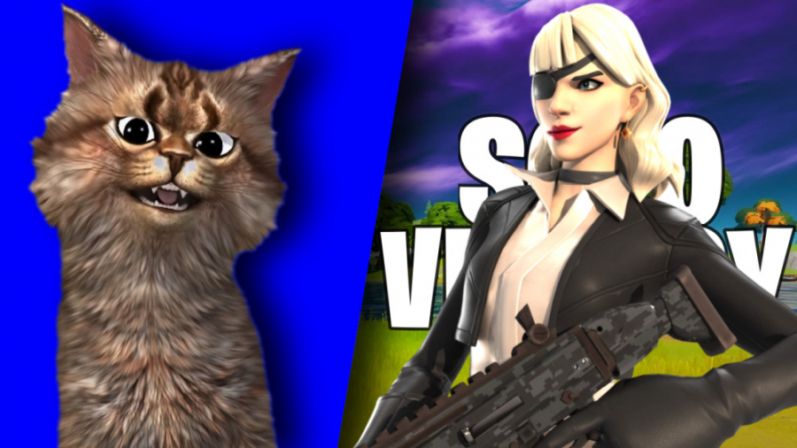 سولو ویکتوری با پنگول 104