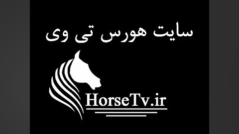 اسب اصیل ایرانی  عکس و فیلم