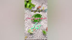 صبح بخیر امروزتون پر انرژی