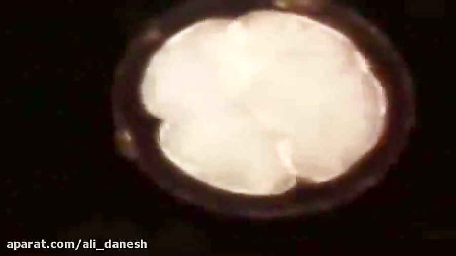 سیر تکاملی جنین