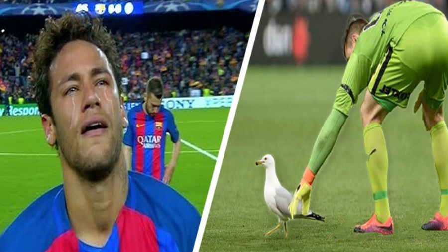 وقتی بازیکنان بزرگ احترام را د...