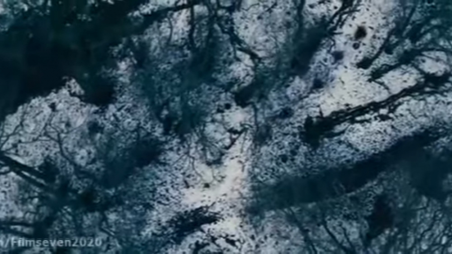 فیلم سینمایی گرگ