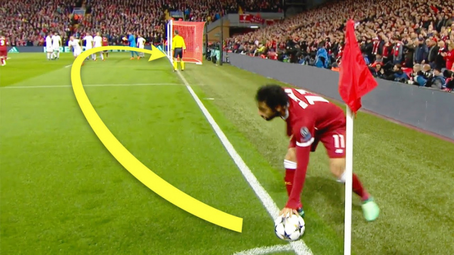 گل های فوق العاده ای که علم از...