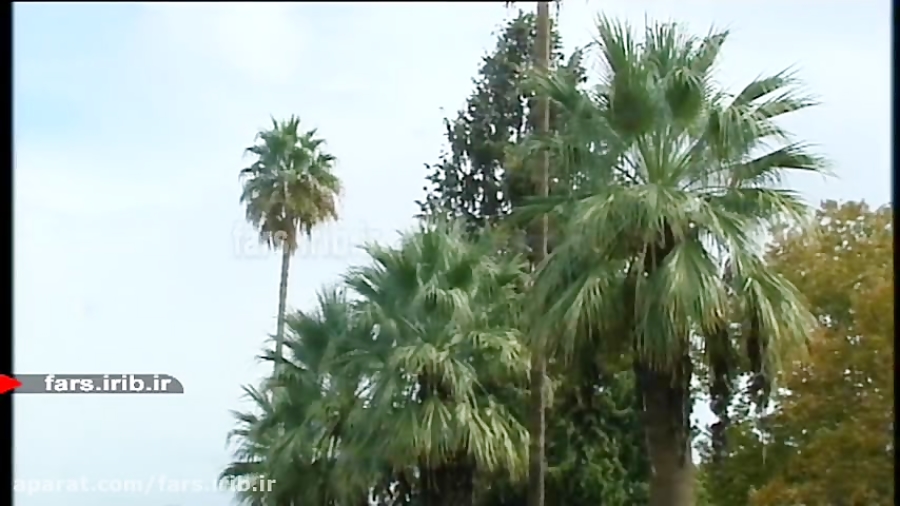 ترانه &quot; پاییز سرد &quot;...