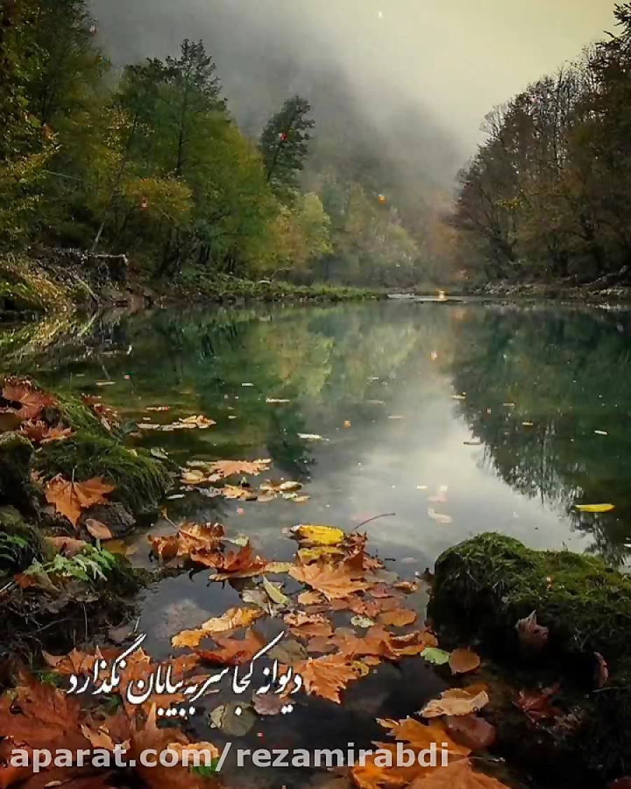 آواره که از خیابان ترسی ندارد...