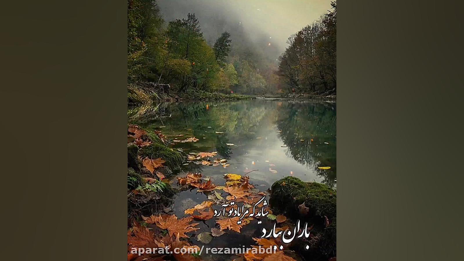 آواره که از خیابان ترسی ندارد...
