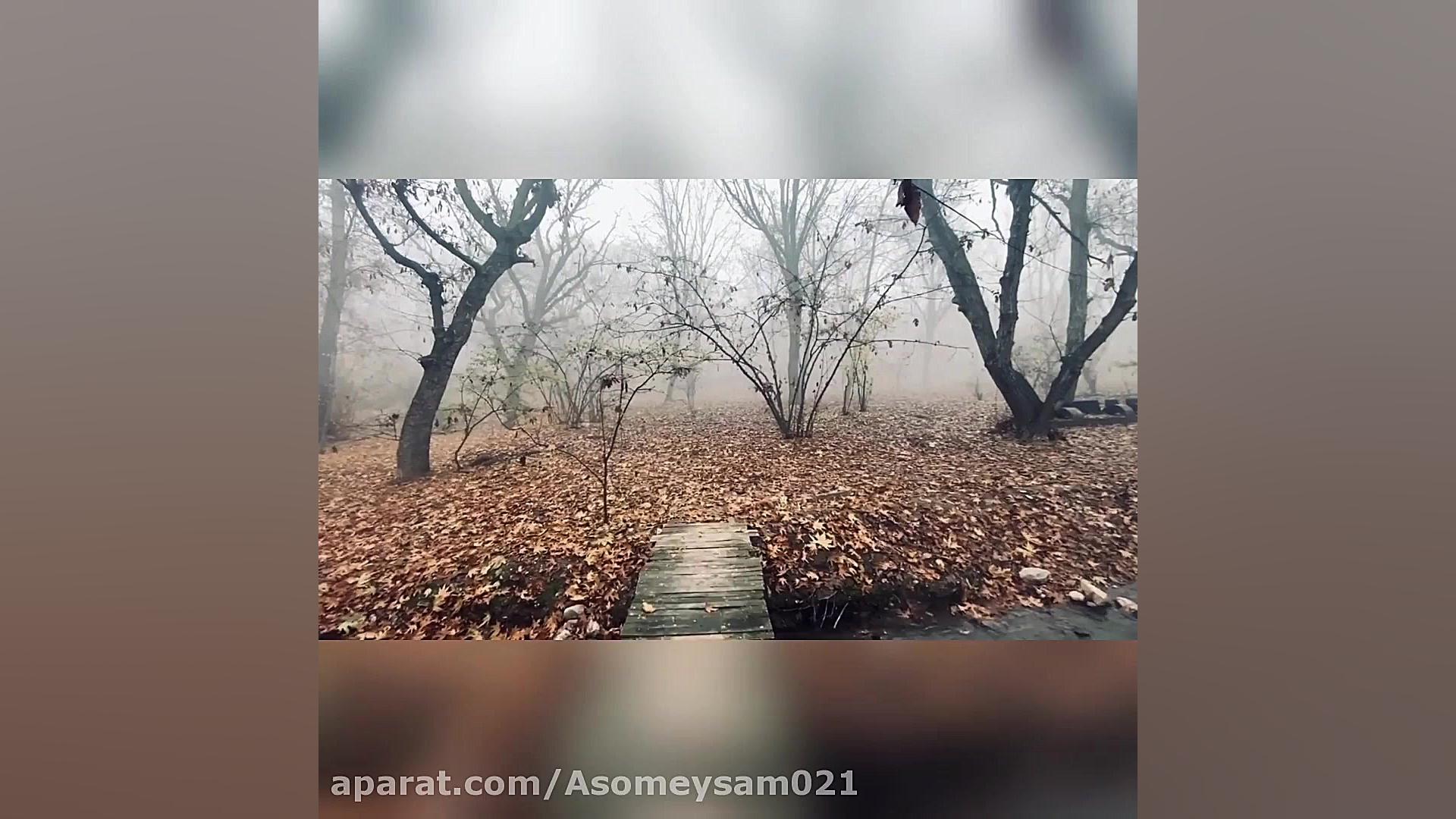 میثم آسو شاعر و ترانه سرا