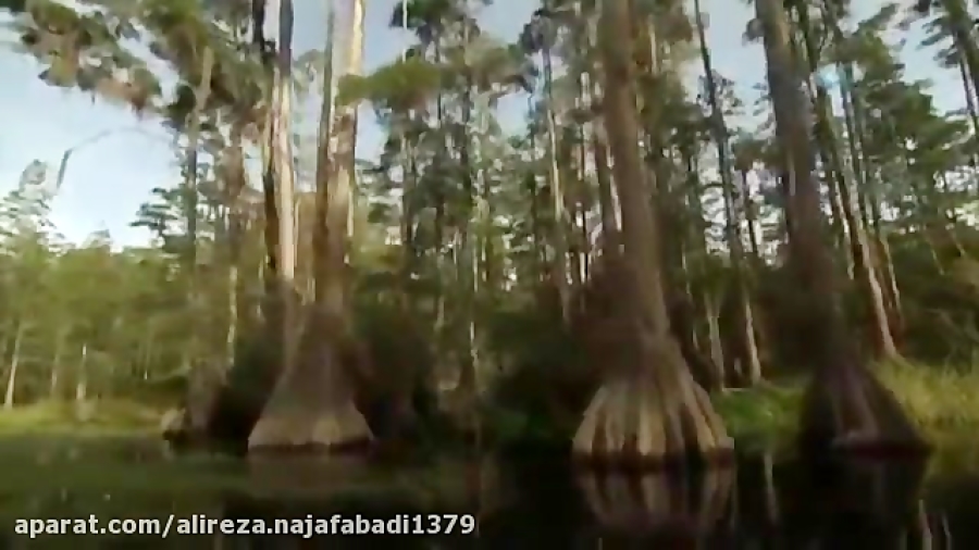 مستند حیات اولیه با دیوید آتنبرو-Arthropleura زمان159ثانیه