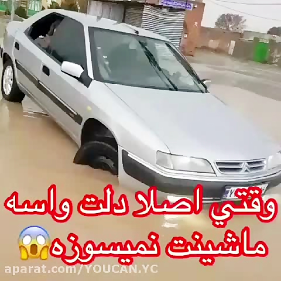 شوتی سوار  کلیپ شوتی  دیوونه ب...