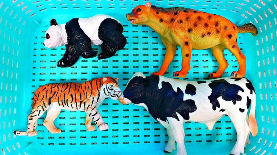 برنامه کودک حیوانات برای کودکا...