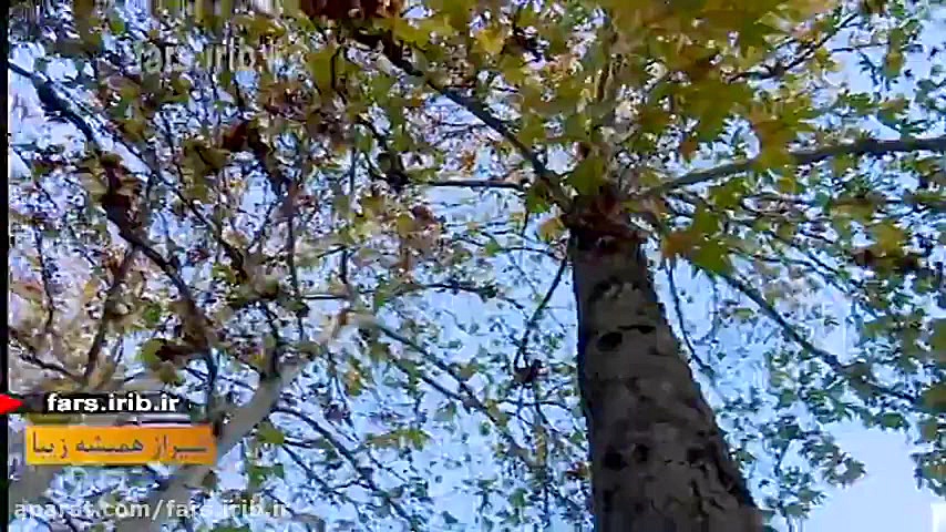 ترانه شاد &quot; قاصدک &quot;...