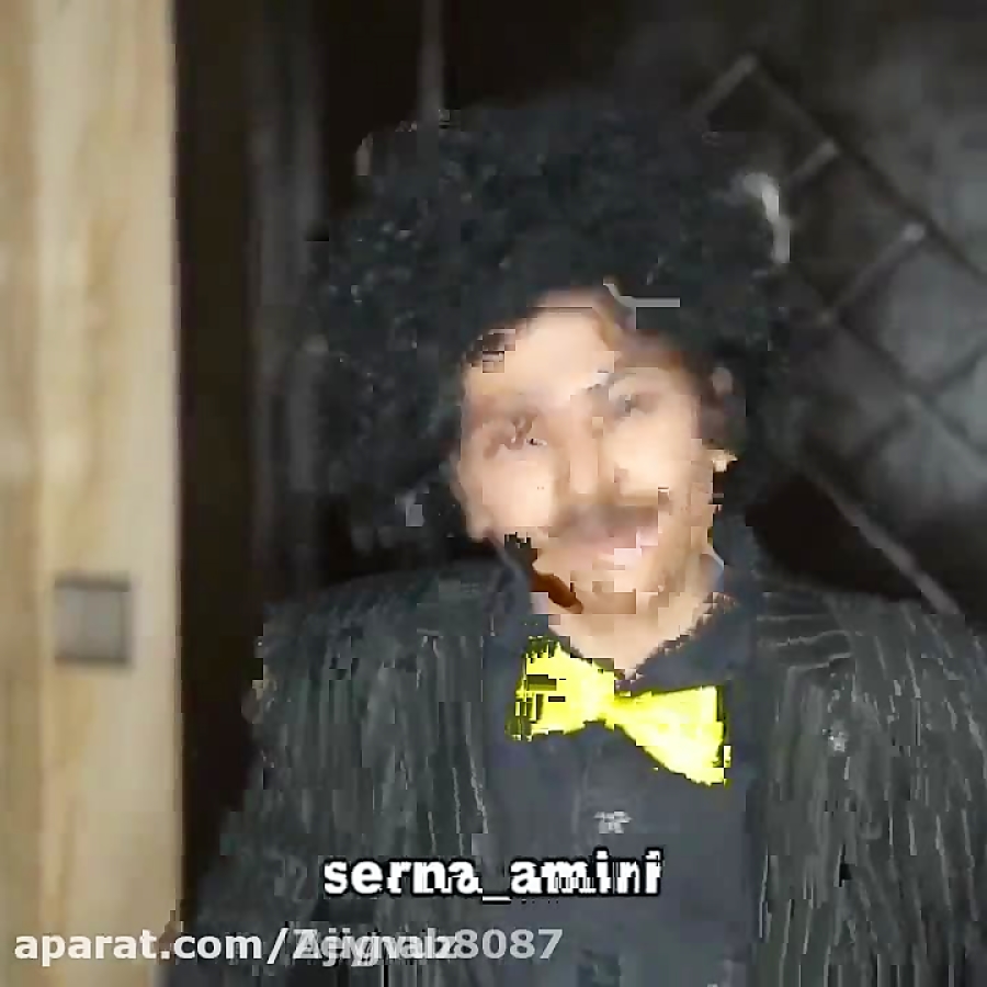 سرنا امینی