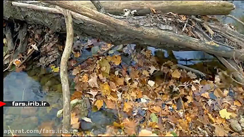 ترانه شاد &quot; خونه &quot; ب...