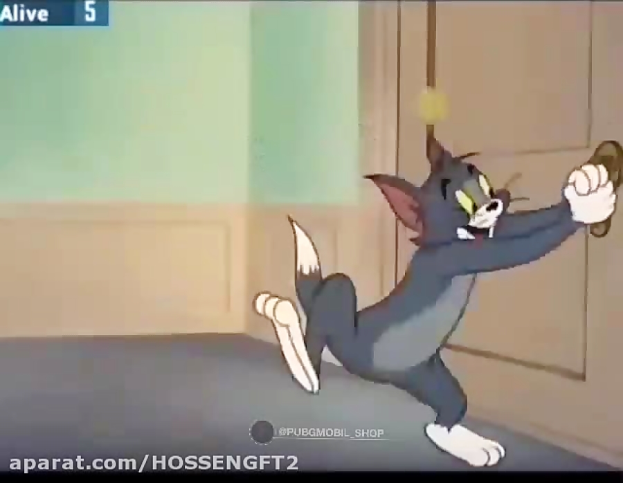 نوب سگ همه جا هست