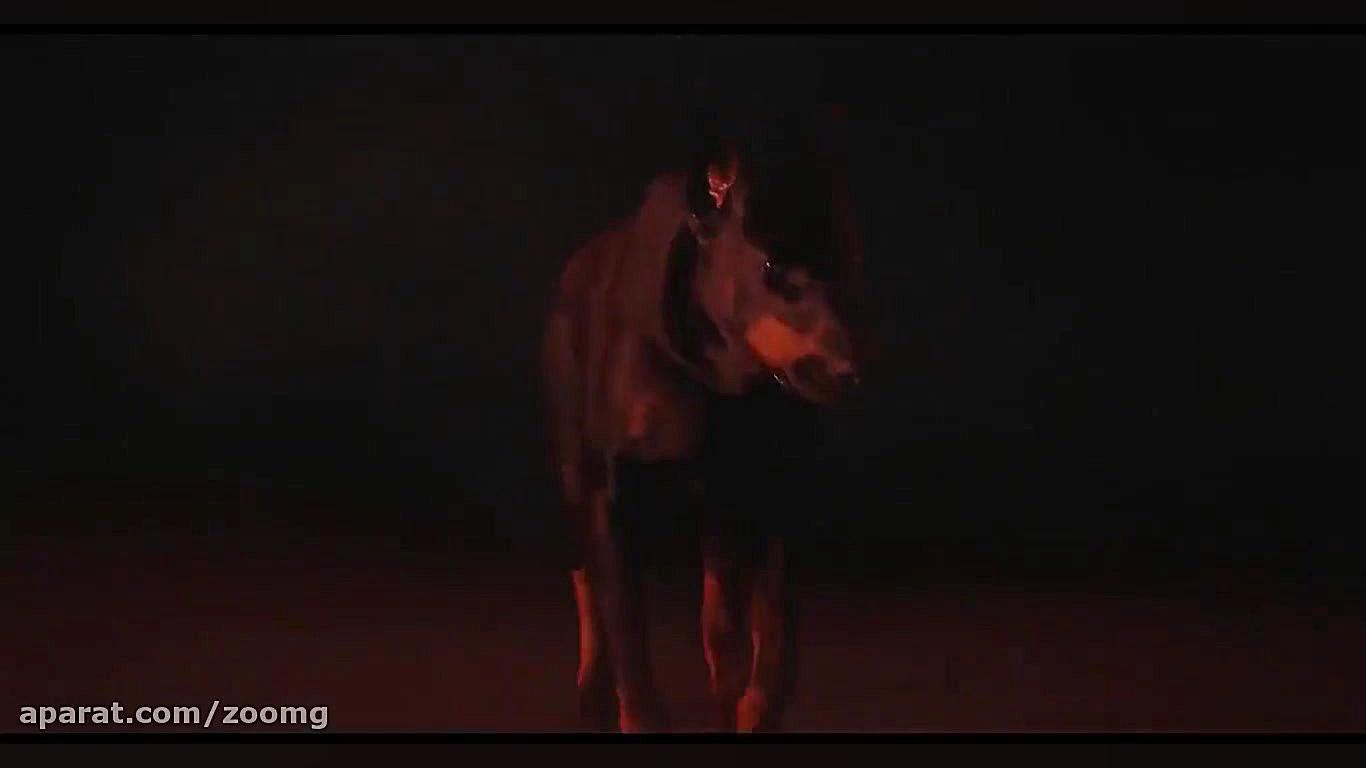 تیزر جدید سریال لایو اکشن Resi...