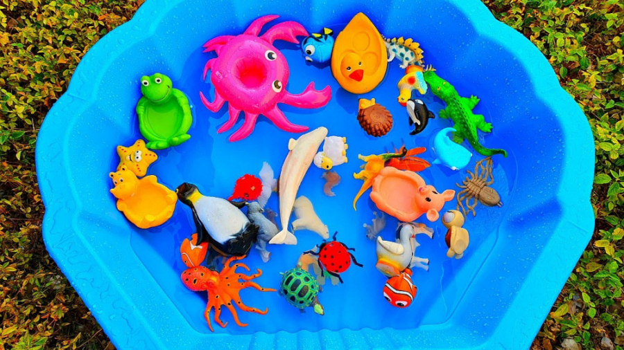 برنامه کودک حیوانات برای کودکا...