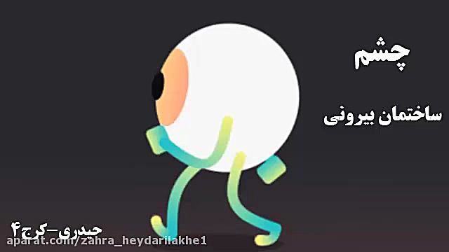 انیمیشن ساختمان بیرونی چشم درس...
