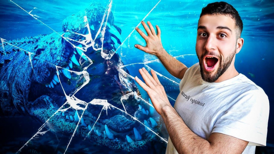 یکی از بزرگ ترین تمساح های دنی...