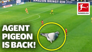 ماموریت مخفی در، درکلاسیکر | ب...