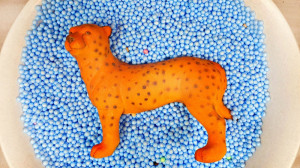 برنامه کودک حیوانات برای کودکا...