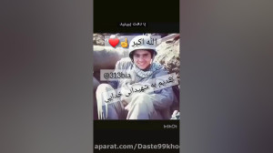 شهدا