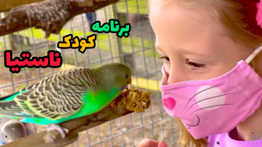 ماجراهای ناستیا  برنامه کودک...