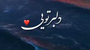 دلبر تویی بی دل منم . آهنگ زیب...