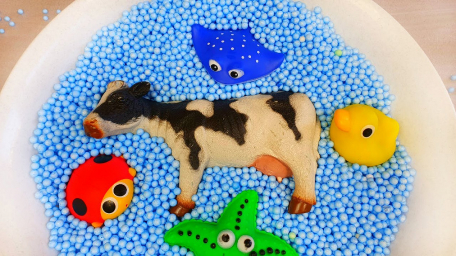 برنامه کودک حیوانات برای کودکا...